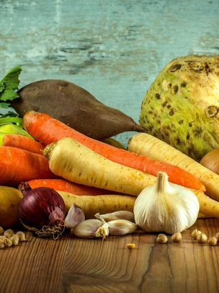 Five Essential Health Checks Every Dog Owner Should Know