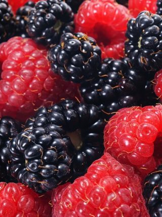 The Importance of Regular Vet Check-Ups for Your Furry Friend