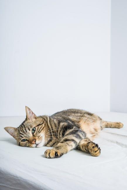 Cozy Cat Beds for Ultimate Comfort and Style