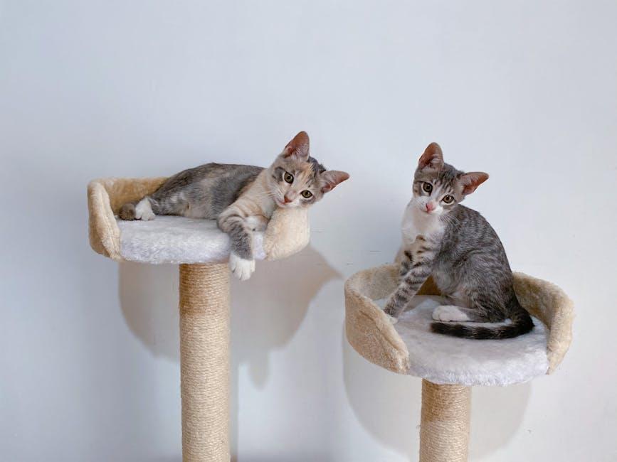 Essential Cat Towers That Double as Home Decor