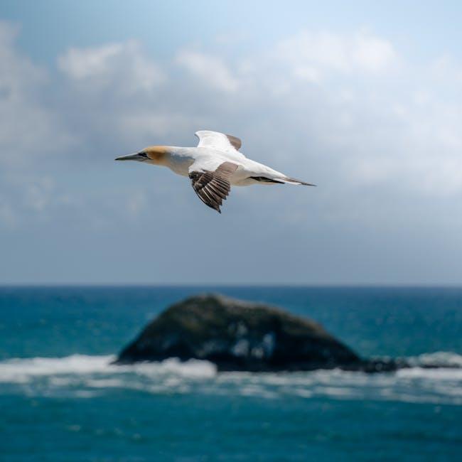 Tips for a stress-Free Flight with Fido