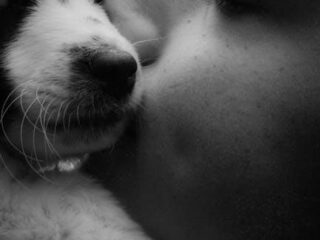 Pawesome Puppy Care Tips: Keep Your Furry Friend Happy!