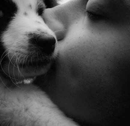 Pawesome Puppy Care Tips: Keep Your Furry Friend Happy!