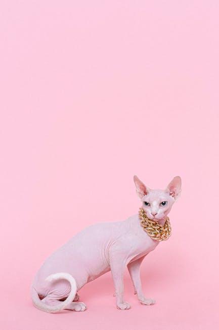 Purr-fect Gifts: Must-Have Cat Accessories for Your Feline!