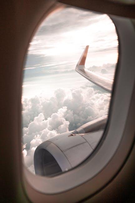 Furry Flyers: The Best Airlines for Traveling with Your Dog!
