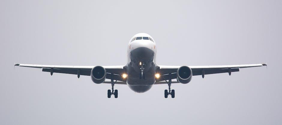 top Airlines That Treat Your dog Like Royalty