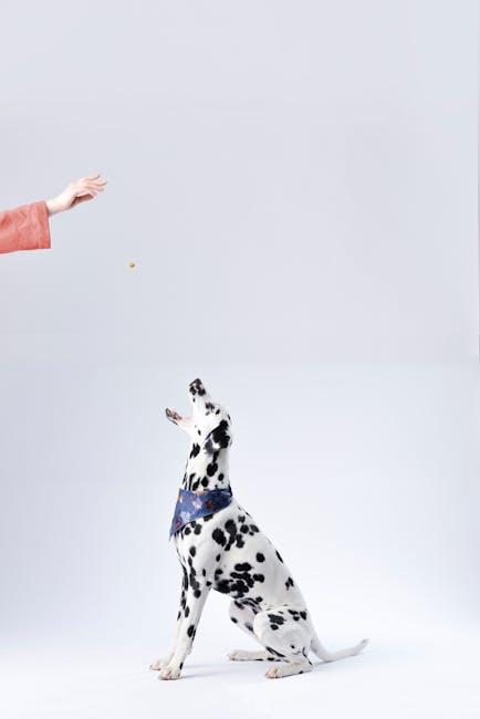 mastering the ‌Basics: Essential⁣ Commands Every Dog Should Know