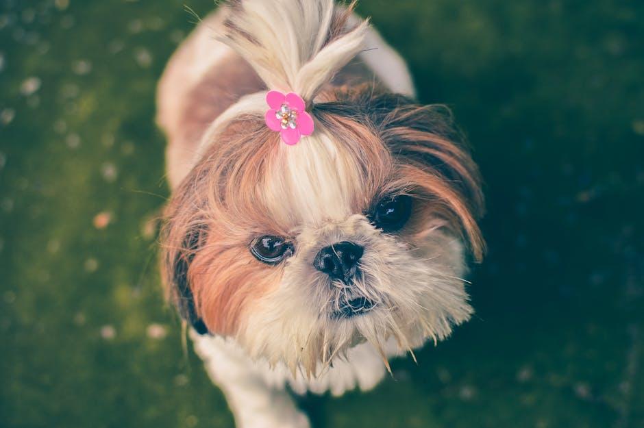 Doggy Road Trips: Your Guide to Pawsome Travel Reviews!