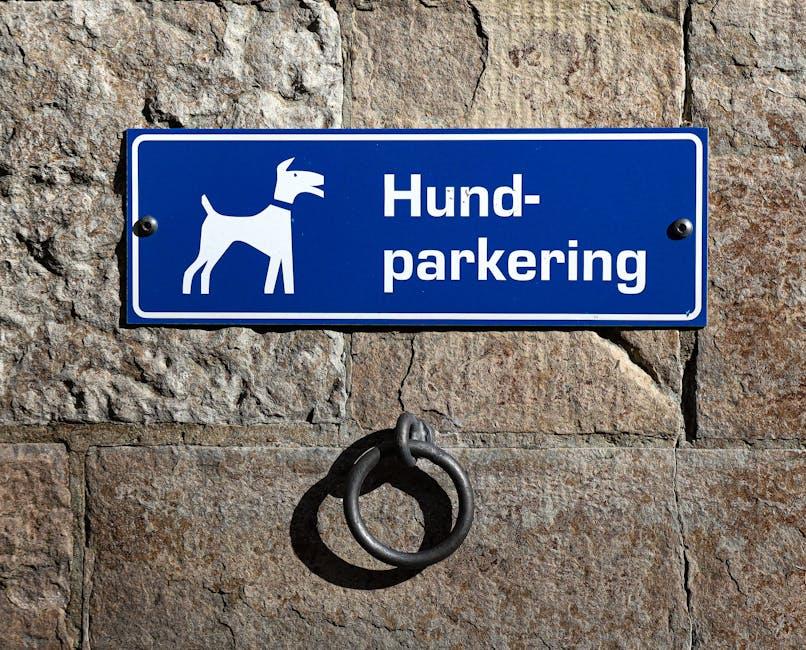 Unleashing the Best Dog-Friendly Accommodations