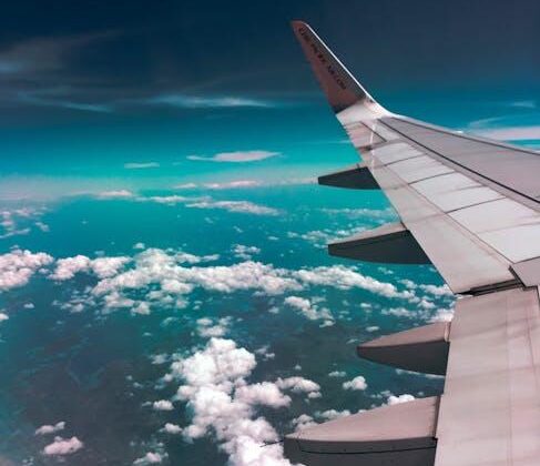 Flying Fido: The Scoop on Dog-Friendly Airlines!