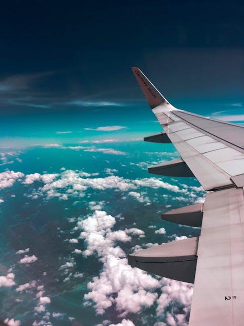 Flying Fido: The Scoop on Dog-Friendly Airlines!