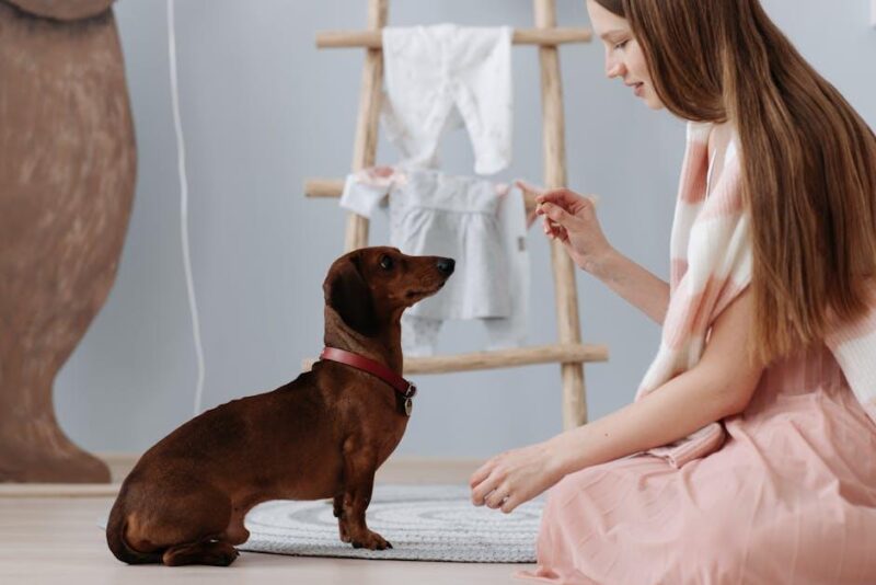 Mastering Home Dog Training: Tips for Happy Pups!