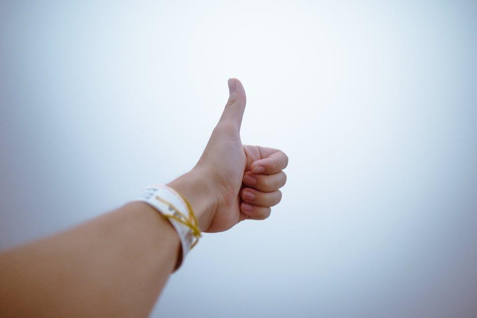 creating a Positive Training ​Environment at Home